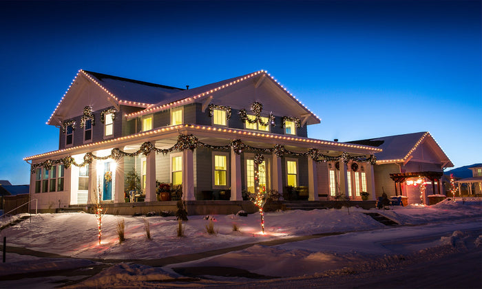 Guide to Christmas Light Bulbs | Village Lighting Company