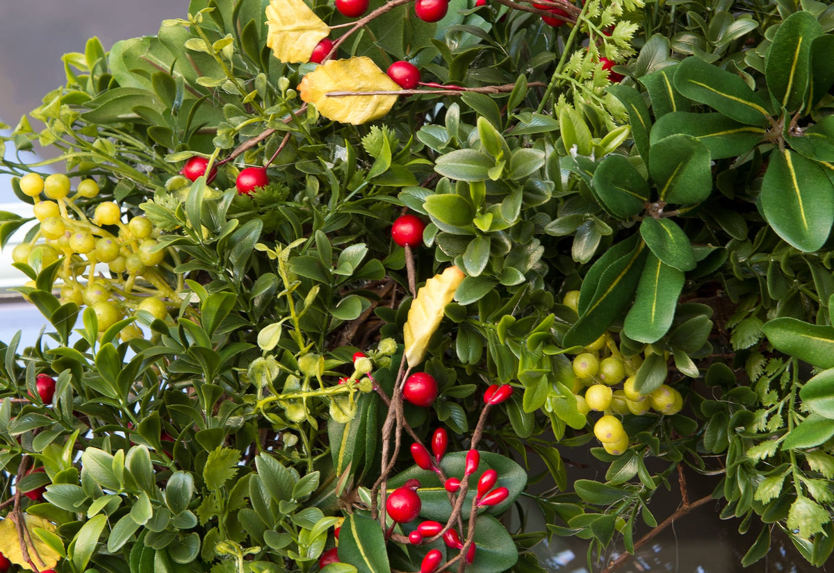 Christmas Boxwood & Berry Wreath - 30