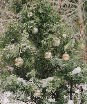 @achristmasworld Instagram Image #4