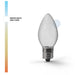 C7 Faceted SMD LED Thumbnail | Village Lighting Company
