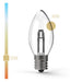 C9 Projector Series™ SMD LED - Village Lighting Company Thumbnail | Village Lighting Company