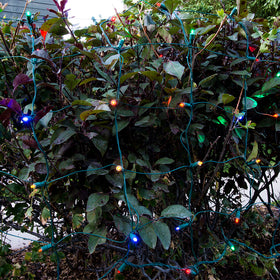 Mini Light Strands | Village Lighting Company