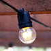 No-Drop Event Lighting Wire Thumbnail | Village Lighting Company