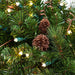 Black Forest LED Wreath - Village Lighting Company Thumbnail | Village Lighting Company